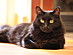 View full size picture