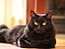 View full size picture