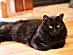 View full size picture