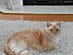 View full size picture