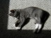 View full size picture