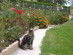 View full size picture
