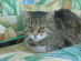 View full size picture