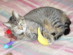 View full size picture