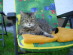 View full size picture