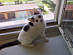 View full size picture