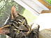 View full size picture