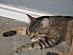 View full size picture