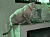 View full size picture