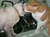 View full size picture