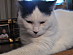 View full size picture