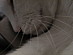 View full size picture