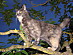 View full size picture