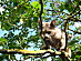 View full size picture