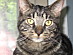 View full size picture