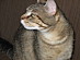 View full size picture