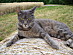 View full size picture