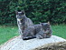 View full size picture