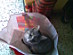 View full size picture