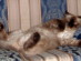 View full size picture
