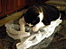 View full size picture