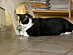 View full size picture