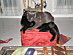 View full size picture