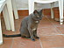 View full size picture