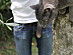 View full size picture
