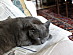 View full size picture