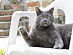 View full size picture