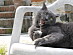 View full size picture
