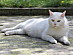View full size picture