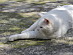 View full size picture
