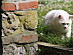 View full size picture