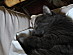 View full size picture