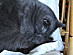 View full size picture