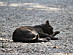 View full size picture