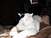 View full size picture