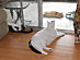 View full size picture