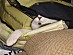 View full size picture