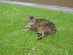 View full size picture