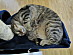 View full size picture