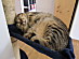 View full size picture