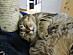 View full size picture