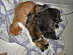 View full size picture