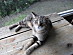 View full size picture