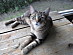 View full size picture