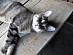 View full size picture