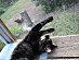 View full size picture